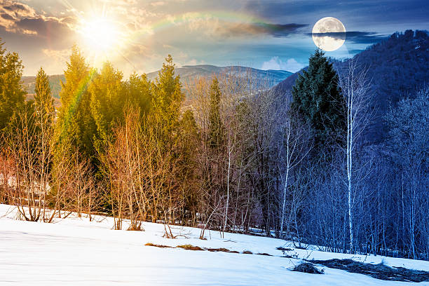 istock mountain landscape with mixed forest on snow covered slope 2248865684