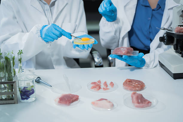 istock Two Asian female scientists analyze plant and meat samples in a modern laboratory, using microscopes and documenting results to improve food quality, safety, biotechnology,agricultural innovation 2248866051
