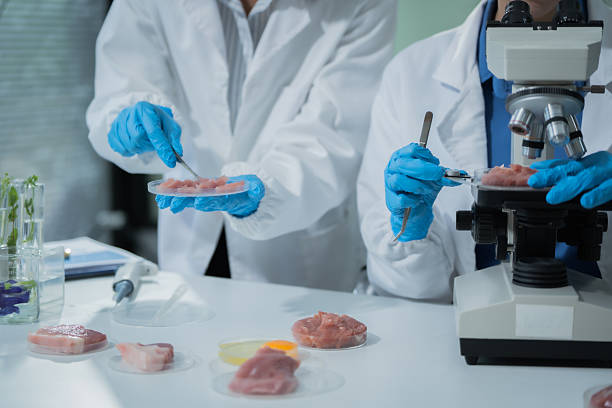 istock Two Asian female scientists analyze plant and meat samples in a modern laboratory, using microscopes and documenting results to improve food quality, safety, biotechnology,agricultural innovation 2248866055