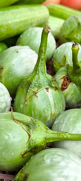 istock Eggplant is an herbaceous plant. 2248866091