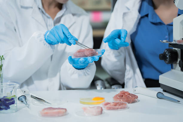 istock Two Asian female scientists analyze plant and meat samples in a modern laboratory, using microscopes and documenting results to improve food quality, safety, biotechnology,agricultural innovation 2248866460