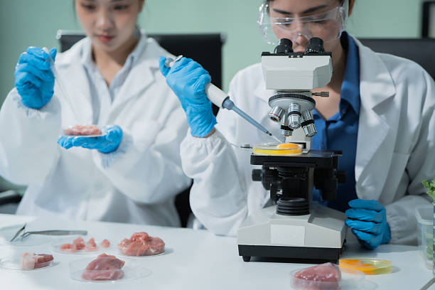 istock Two Asian female scientists analyze plant and meat samples in a modern laboratory, using microscopes and documenting results to improve food quality, safety, biotechnology,agricultural innovation 2248866925