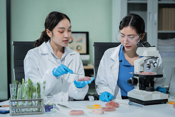 istock Two Asian female scientists analyze plant and meat samples in a modern laboratory, using microscopes and documenting results to improve food quality, safety, biotechnology,agricultural innovation 2248866940