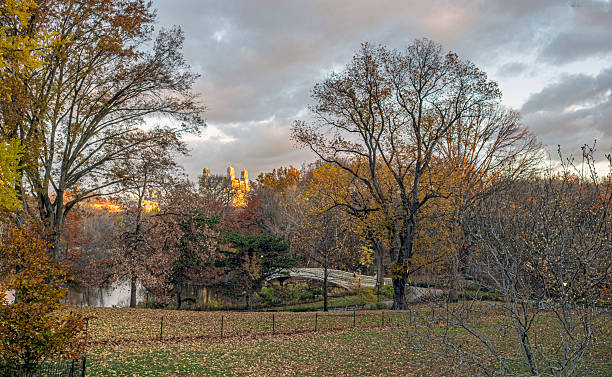 istock Bow bridge, in late autumn, morning 2248870555