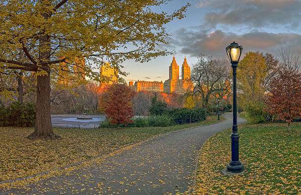 istock Bow bridge, in late autumn, morning 2248870567