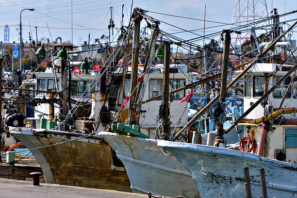Multiple fishing boats are docked at a harbor, tightly packed alongside each other. The vessels display weathered hulls with various equipment such as nets, ropes, and masts. Each boat features a cabin with windows, antennas, and various fixtures. The scene shows an industrial setting with utility poles and wires in the background of a busy, functional fishing area. The boats are colored mostly in shades of white and blue, evoking a rustic maritime atmosphere.