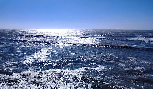 Serene ocean vista with rolling waves under a clear blue sky. Sunlight dances on the water, creating a sense of peace and vastness. Use for travel, nature, or inspirational themes.