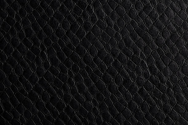 istock Snake skin background. Black radial background. 2248878813