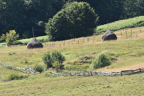 istock Beautiful rural landscape with haystacks and lush greenery in summer sunlight 2248880756