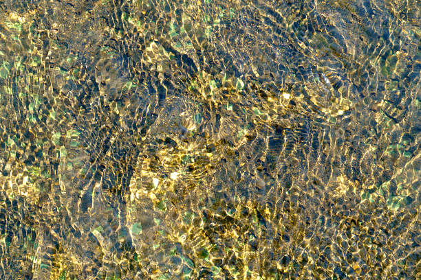 Sunlight refracts through clear, shallow water, illuminating a textured riverbed of pebbles and sand. Ripples create dynamic patterns of light and shadow, a natural abstract background.