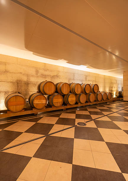 istock Wine barrels aging in a modern cellar with checkerboard floor 2248890768