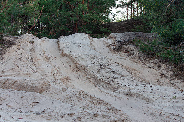 a sandy dirt road winds between trees and hills through the forest