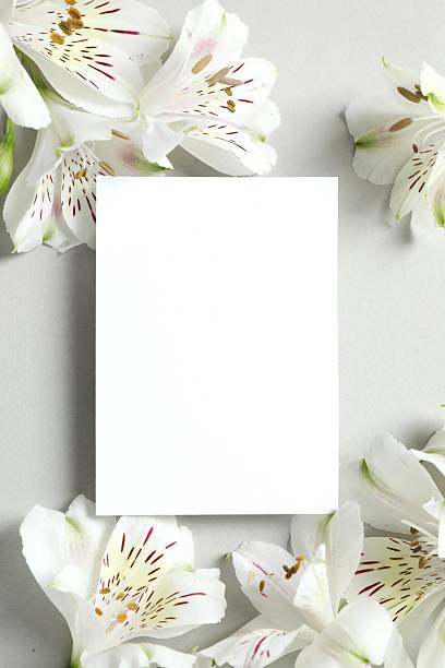 istock White card with alstroemeria flowers on grey background 2248895931