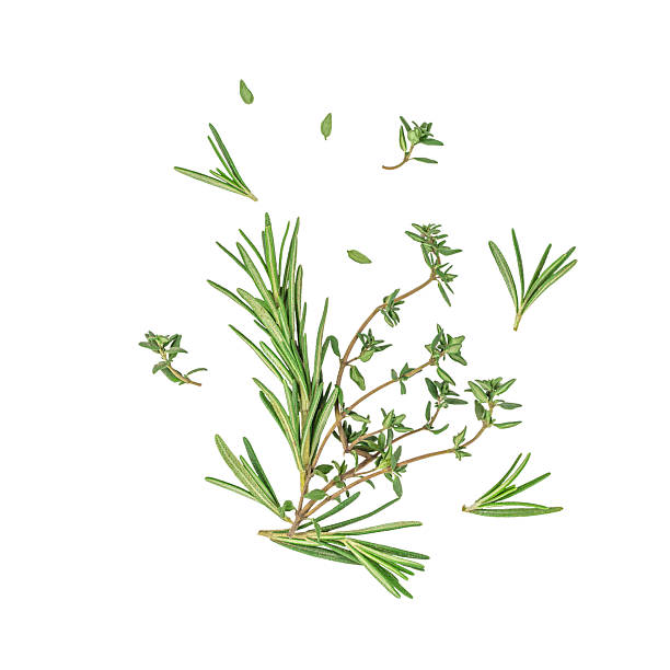 istock Fresh organic rosemary and thyme Mediterranean herbs isolated on white background 2248897720