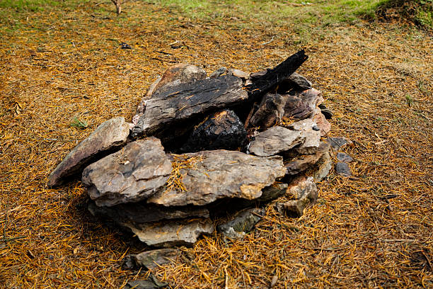 Campfire circle with stones and neatly arranged wooden logs under sunlight. The image evokes outdoor recreation, camping, and rustic lifestyle.