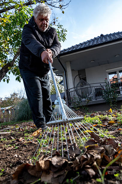 istock Collecting leaves in the yard 2248910445