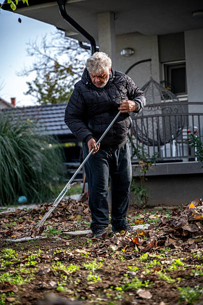istock Collecting leaves in the yard 2248910503