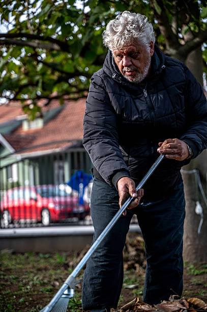 istock Collecting leaves in the yard 2248910592