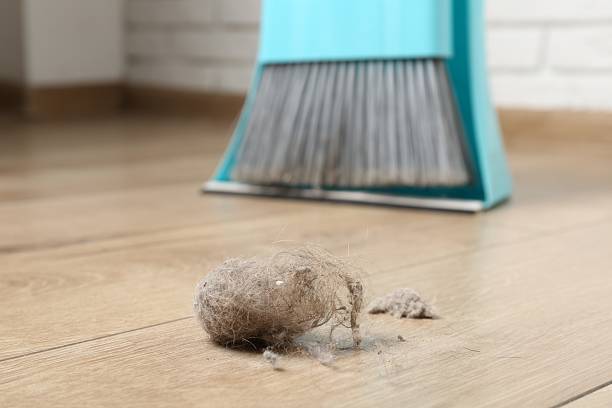istock Dust bunny, dustpan and broom on floor indoors, closeup 2248911017