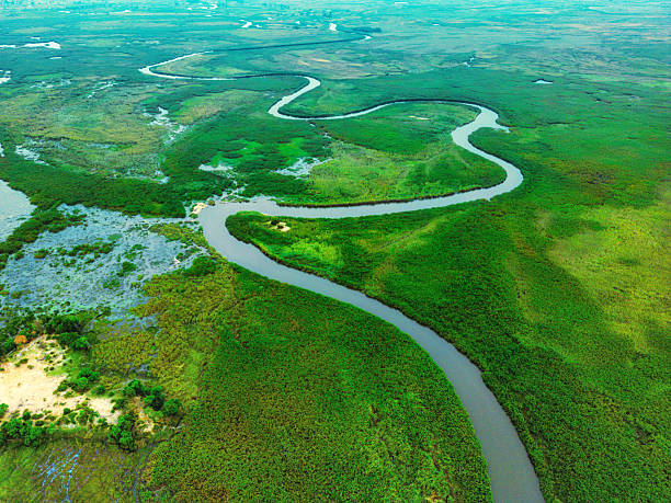 istock drone view on winding river in green Okavango Delta 2248911216