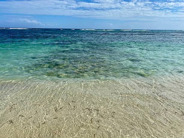 istock Juan Dolio Beachfront Dominican Republic 2248913239