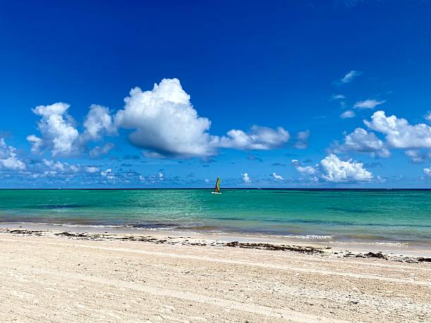 istock Juan Dolio Beachfront Dominican Republic 2248913268