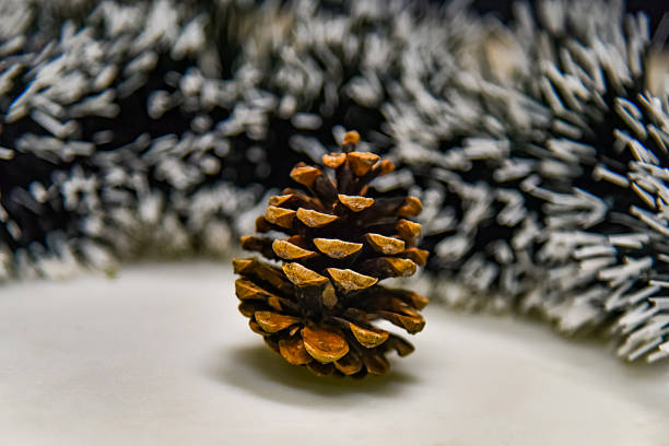 Christmas background with gold pinecone