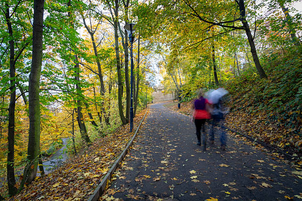Two people blurred by motion walking along a paved park path covered with fallen autumn leaves, surrounded by a forest of yellow and green trees in prague, czech republic
