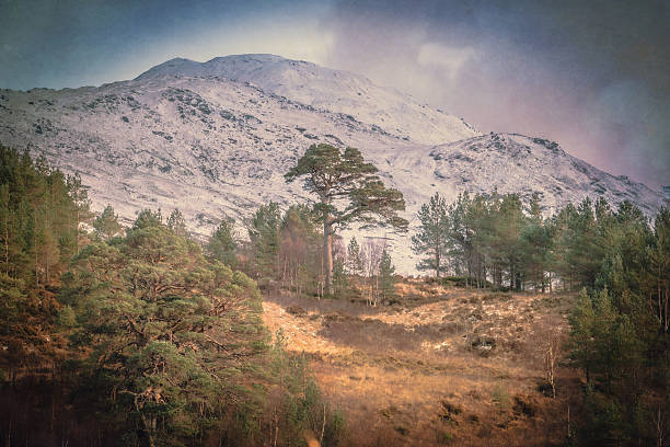 landscape of the Scottish highlands