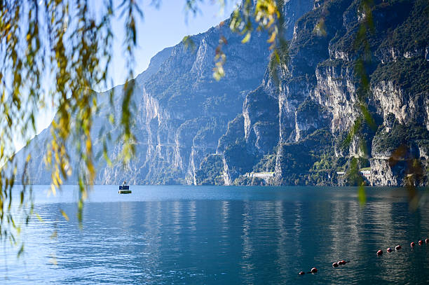 A fruit tree with shiny foliage and tart, tasty fruit all year round. Lemon Tree. Raindrops on lemon fruits. Italy. Lake Garda. Sour, juicy, yellow, tasty, lemony. Cellulite. Nature. Lemon zest