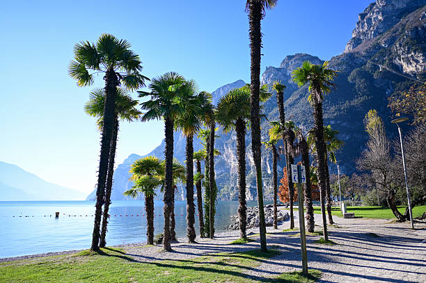 istock Riva del garda lake shore with palm trees and mountains 2248923587