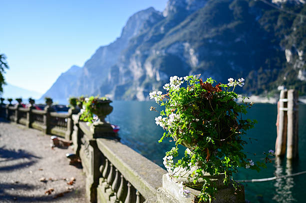 Flowers decorating a balustrade along the serene waterfront of lake garda