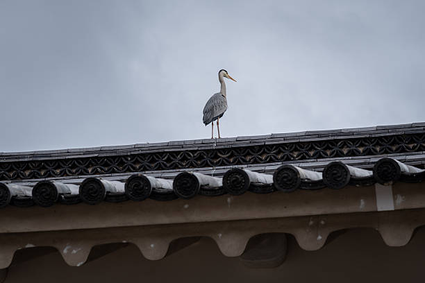 A heron standing on a traditional Japanese tiled roof against a cloudy sky.