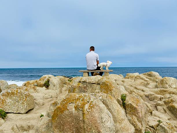 A family is relaxing at Lovers Point Park in California. Husband takes pictures of his wife and little animals like squirrels and seagull birds. Spending time with their son and dog.