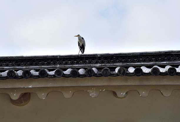 A heron standing on a traditional Japanese tiled roof against a cloudy sky.