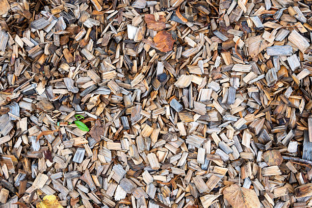 Yellow wood chips background. Playground natural  flor. Decoration for exterior.
