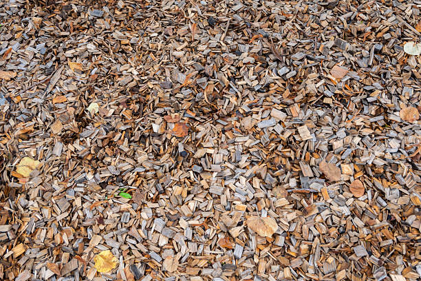 Yellow wood chips background. Playground natural  flor. Decoration for exterior.