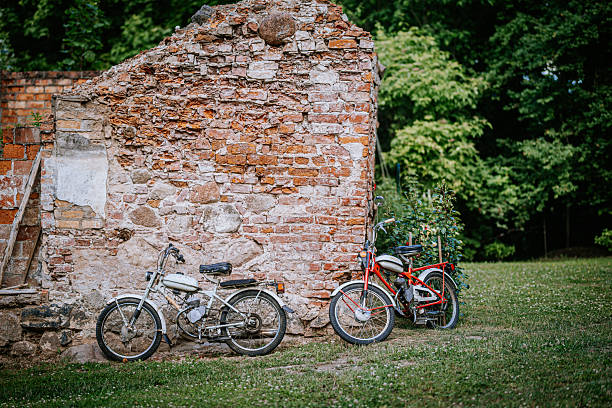 Two vintage bicycles lean against a weathered brick wall, surrounded by vibrant greenery, creating a picturesque outdoor setting filled with nostalgia and charm
