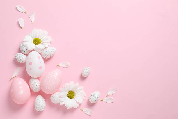 istock White flowers with colorful eggs on a pink background. Happy Easter. Space for text or advertising 2248930457