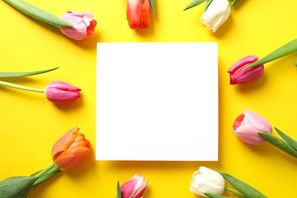 istock Paper card and tulips on color background 2248931324