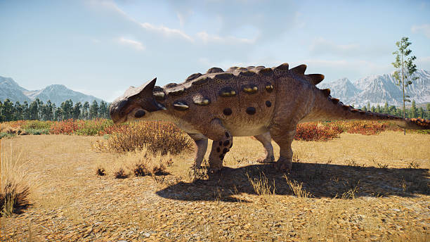 istock ANKYLOSAURUS MAGNIVENTRIS (Digital Animals) Dinosaur 2248934446