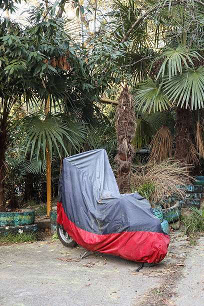 istock Tarp-covered scooter amid palm trees and greenery 2248934812