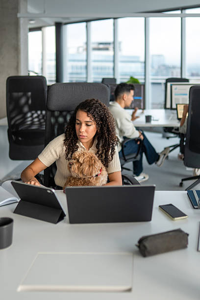 istock Hispanic Young Woman Balancing Work and Dog in Office 2248939148
