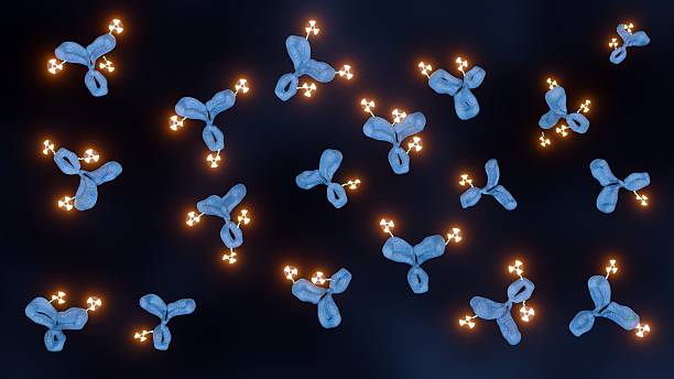 istock Monoclonal antibodies linked to a radioactive isotope 2248944991