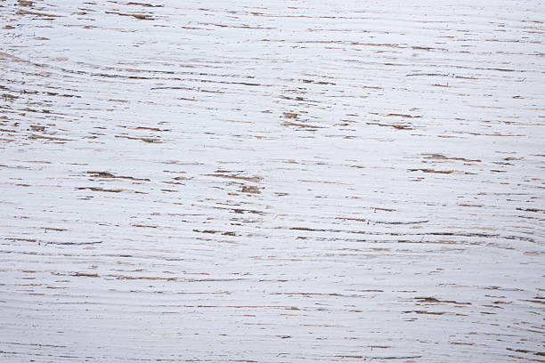 textured white wooden photo background