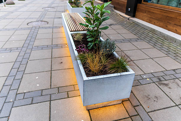 istock This modern urban concrete bench with wooden seating and integrated planters features green plants and warm illumination along a paved city sidewalk. 2248958075