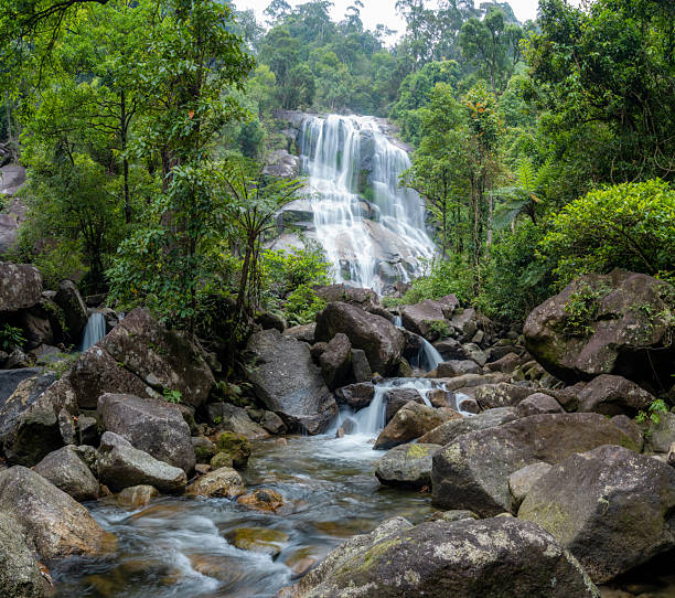 istock Naan Pliw Waterfall, Nakhon Si Thammarat, Thailand 2248960378