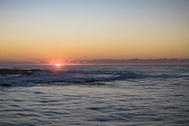 Lonely seadgull over rising sun on Pacific coast of Australia - curl Curl beach in Sydney.