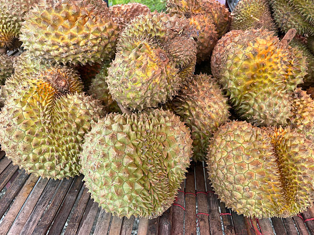 istock durian fruit in the market 2248963146