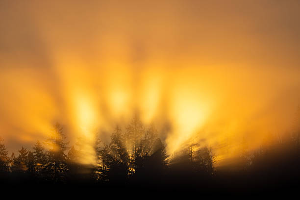 istock A very vibrant and unusual sunrise, Hamilton Marsh, Qualicum Beach, Vancouver Island, British Columbia, Canada 2248964805